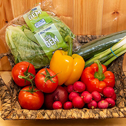 Fewston Farm Shop Salad Box