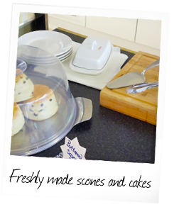 Homemade Scones and Cakes